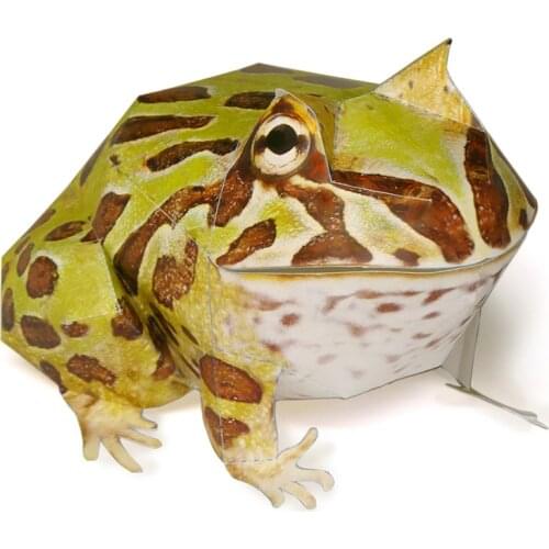 Argentine Horned Frog Paper Model Realistic Animal Mini Cute Fold Card 3D Papercraft DIY Kids Adult Handmade Craft Toys WE-049