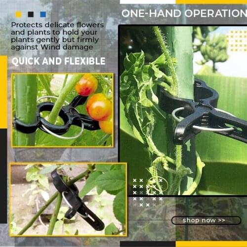 20pcs Plant Vines Fixing Clips grape climbing clip Garden plastic clip Tomato Clamp Plant clip Gardening garden Loofah clip