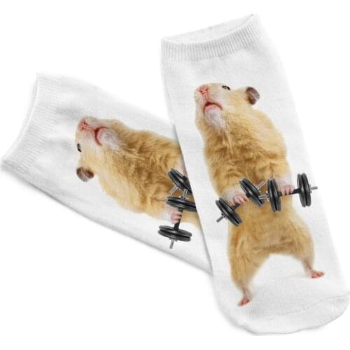 Summer Fashion Animal Socks 3D Printed Funny kawaii Socks Women Cute Animal Fitness Hamster Invisible Many Style 3d Socks 2019