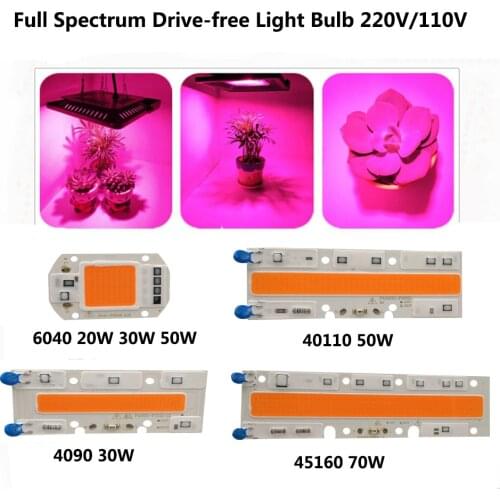 Full Spectrum LED Phyto Lamp 20W 30W 50W 70W 110V 220V High Power COB Chip LED Diode Light Grow Phytolamp For Plants hydroponics