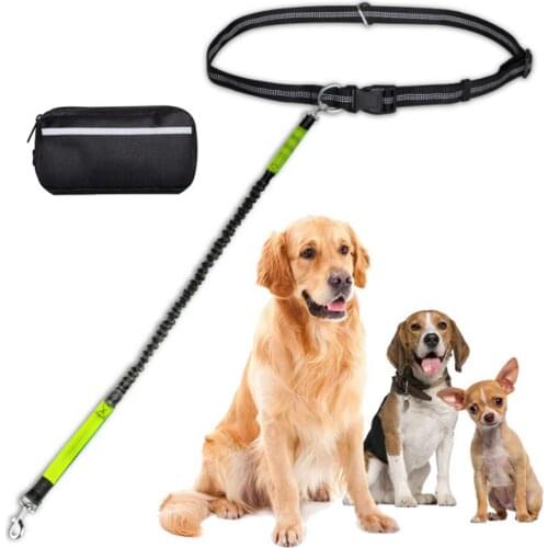 Hands-free Waist Dog Leash with Removable Zipper Pouch Reflective Strap Double Bungee Double Handles Night Running Nylon Leash