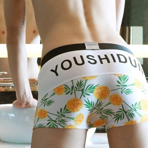 Seeinner Men's Briefs With Print