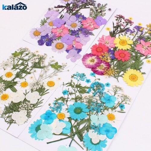 1 Pack Beautiful Mixed Organic Natural Dried Flowers DIY Pressed Flower Wedding Birthday Party Decor Gift Plant Specimen