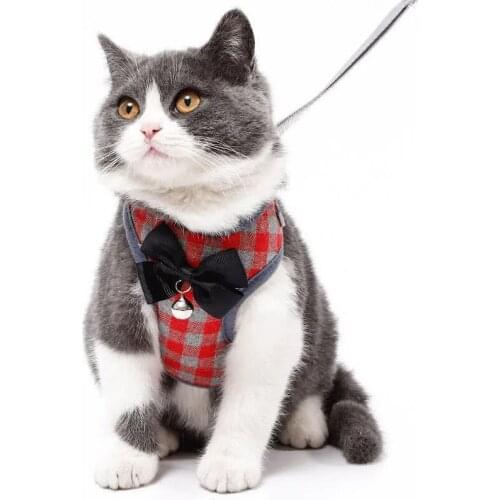 2021Harness for small dogs chihuahua pet supplies for dogs leash personalized clothes Cat accessories things for cats neck belt