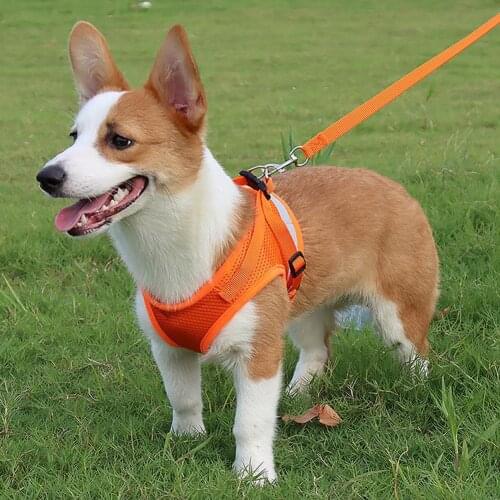 50% Hot Sales!!! Traction Rope 360 Degree Reflective Design Explosion Proof Polyester Pet Dog Chest Strap for Outdoor