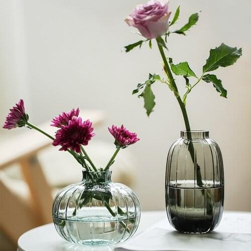 Nordic Glass Vase Home Table Decor Hydroponic Plant Vase Desktop Mini Dry Floral Storage Bottle Flower Container Jar