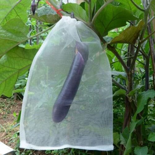 50pcs Garden Netting Bags Vegetable Grapes Apples Fruit Protection Bag Pouch Agricultural Pest Control Anti-Bird Mesh Bags