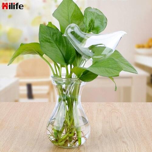 Garden Plants Flowers Water Feeder Watering Cans Automatic Self Watering Devices Clear Glass Watering Device Bird Shape