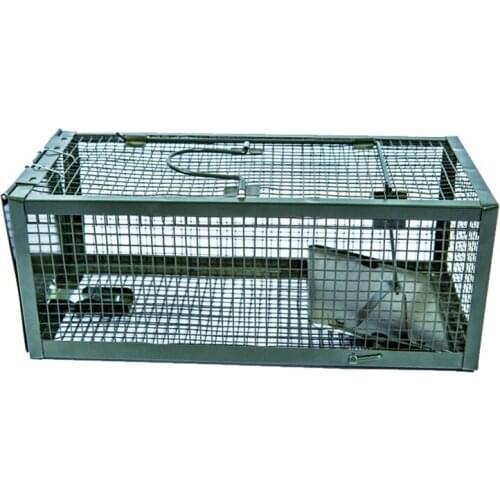 Home Mouse Trap, Mouse Trap Catch Humane Mouse Cage Trap for Mice, Rats, One Door Catch and Release, Safe for People and Pet