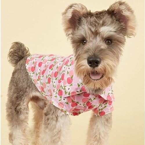 Cool Pet T-Shirt Turndown Collar Two-legged Cotton Fruit Printing Puppy Shirt Cloth for Daily Life Summer Small Dogs Clothes