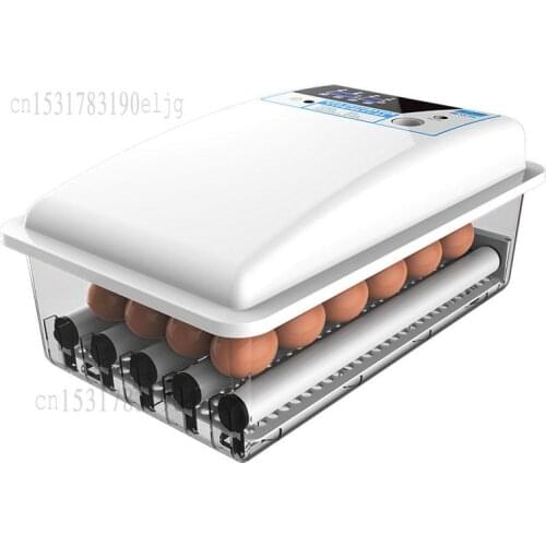 Chicken Incubator Fully Automatic Intelligent Small Incubator Incubator Egg Incubator Box Chicken Duck Goose Household Type