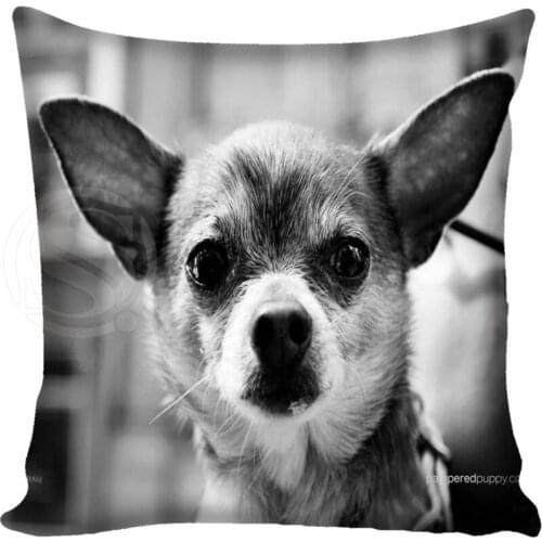 Custom Chihuahua lovely dog Pillowcase Square Zippered Home Decorative Pillow Cover Two Sides Printed 35X35 40X40 45X45 60X60