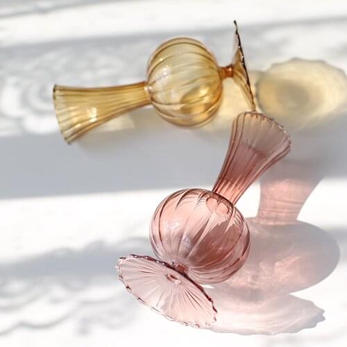 Terrarium home decor Nordic Hydroponics Glass flower vase living room decoration Planter jarrones vasos de planta decorativos