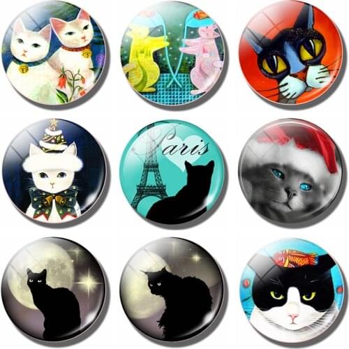 Lovely Cat 30 MM Fridge Magnet Funny Black Cat Moon Paris Lover Glass Dome Magnetic Refrigerator Stickers Note Holder Home Decor