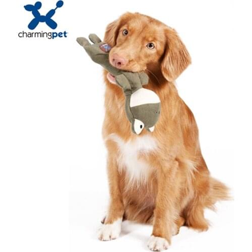 Charmingpet pet dog toys pig Rana Rana Pasture dog cattle ranching pet training Squeak Toys