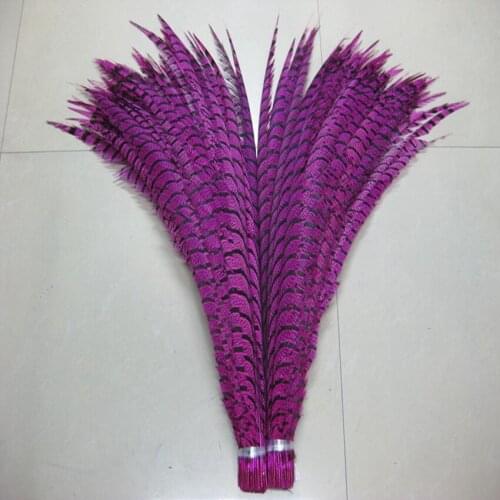 EMS Free Shipping Fuchsia/Bright Pink 50pcs lady Amherst pheasant Feather tail 80-90cm 30-35 inch Pheasant Tail Feather