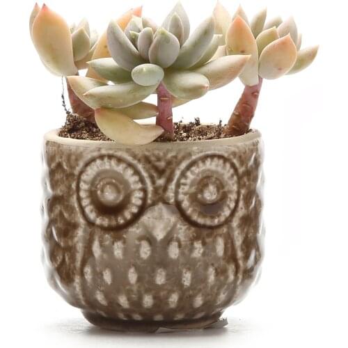 Ceramic Owl Pattern Succulent Cactus Plant Pot Flower Pot/container/planter Brown