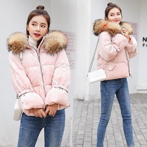 Female Direct Selling Special Offer Polyester Zipper Full 2019 Winter Wear Korean Hat Slim Dress Big Collar Cotton Jacket Coat