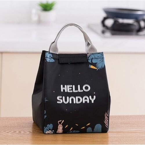 Lunch Bag Fashion Cute Cartoon Animals Cooler Bags Women Waterproof Hand Pack Thermal Breakfast Box Portable Picnic Travel