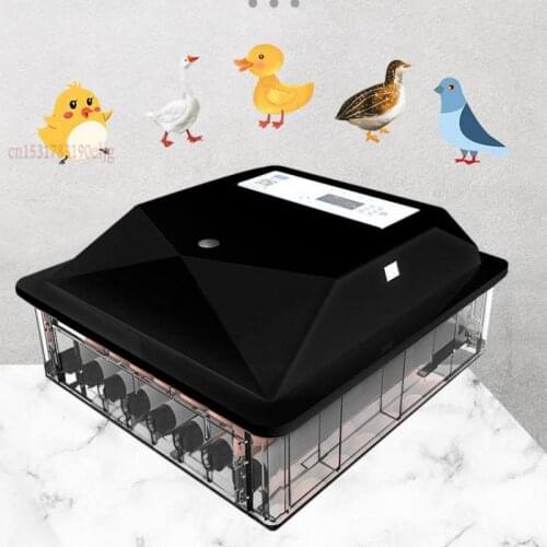 Incubator automatic small household thermostat mini chicken duck goose pigeon peacock egg incubator incubator