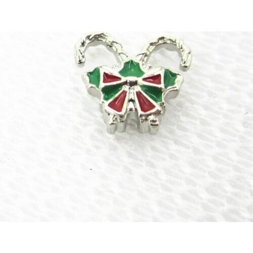 Hot Selling 20pcs/lot Insect Floating Charms Living Glass Memory Lockets Floating Charms DIY Jewelry Accessory