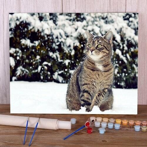 Cat Winter Animal Coloring By Numbers Painting Package Acrylic Paints 40*50 Paiting By Numbers Decorative Paintings Wholesale