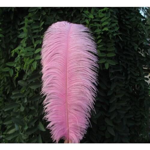 Wholesale Beautiful pink ostrich feathers 50pcs 16-18 inches / 40-45 cm Free Shipping