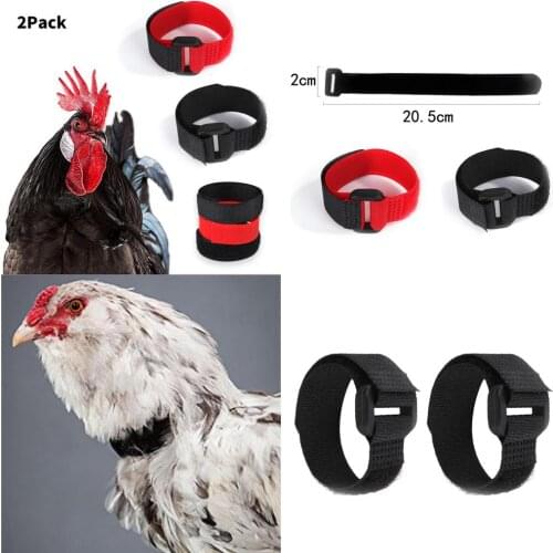 2x Chicken No Crow Collar for Roosters No Crowing Belt Neckband Poultry Supplies