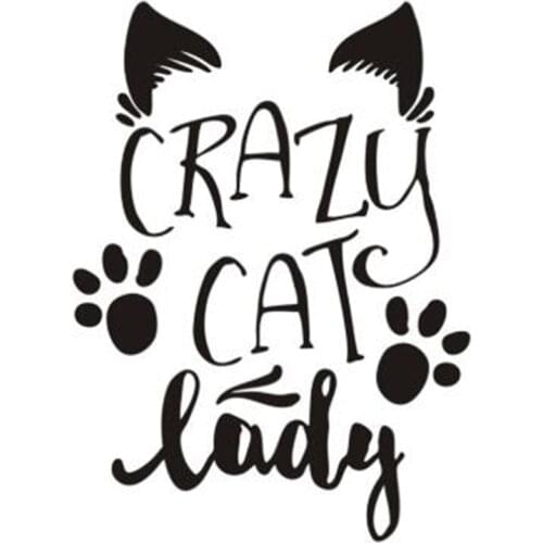 New Cute Crazy Cat Lady Car Stickers Decals Styling High-quality for Bumper Rear Windshield Vinyl Cover scratches 15*15cm