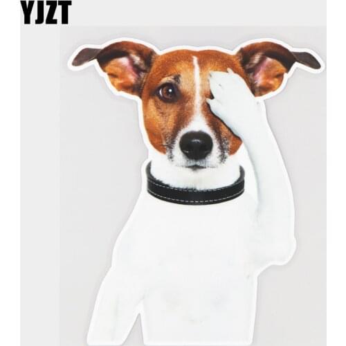 YJZT 13.5×16.5CM Jack Russell Pekingese Funny Animal Car Stickers Creative Cartoon Vinyl Decals 21A-1067