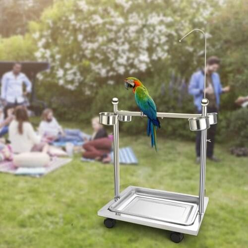 Stainless Steel Parrot Stand With Universal Wheels Rollable Parrot Play Feeding Bowl Parrot Training Stand Bird Feeder Stands