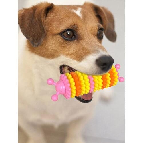 Pet Dog Teeth Cleaning Toy Dog Chew Toy Novelty Dental Care Toys Teeth Cleaning Stick Dog Toothbrush Durable Dog Playing Toy