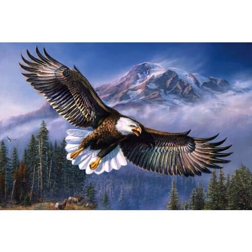 Full Square/Round 5D DIY Diamond Embroidery Flying Eagle Landscape Diamond Painting Cross Stitch Rhinestone Home Decor