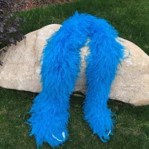 20ply Ostrich Feather Boa Trim Super Thick Feather Decor Ostrich Feathers for Crafts Plumas Carnaval Dress Plume Decoration DIY