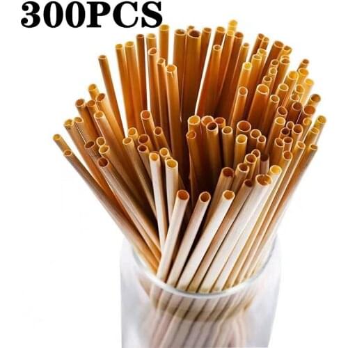 OHFIN Disposable Straws