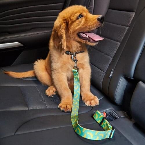 Dog Seat Belt，Car Harness for Dog,Adjustable Dog Safety Belt Leash,Exquisite Printing Seatbelt ,Works with Any Pet Harness