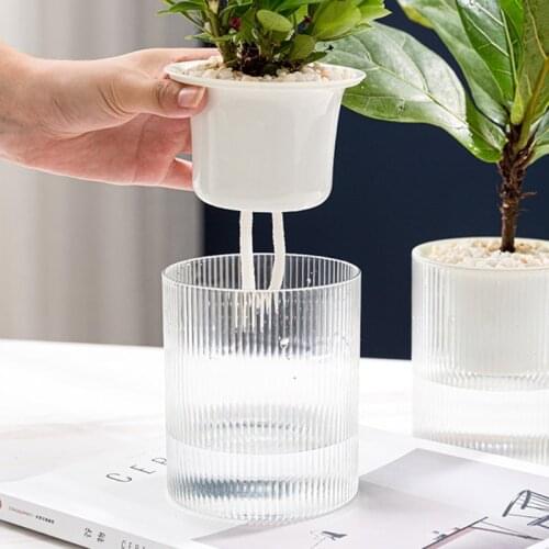 Self Watering Plastic Plant Pot with Wick Rope Clear Water Container 2 Layer Planter Round Flowerpot Basin for Flowers Herbs Hyd