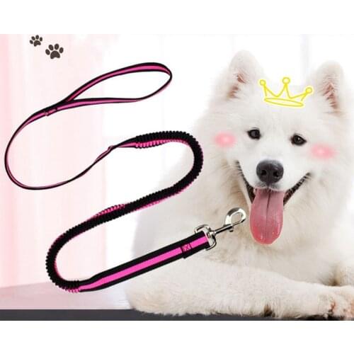190cm Elastic Dog Leash Pet Cat Puppy Anti Dash Pull Dog Lead Leash Retractable Leash For Rabbit Hamster Small Pets Dropshipping