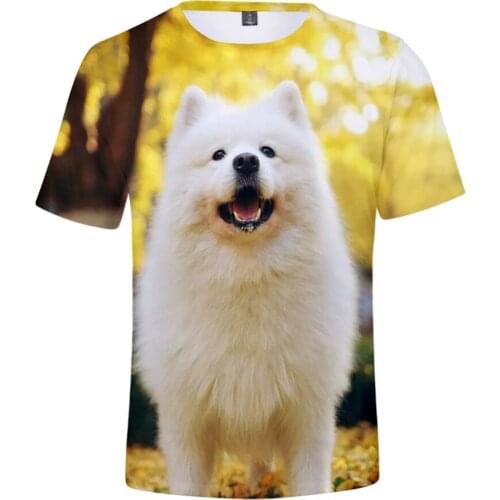 Men Women Personality Animal Cute Dog Samoyed 3D Print T-Shirt Boy Girl Casual Clothes Tshirt Summer Teen Birthday Cool Tee Top