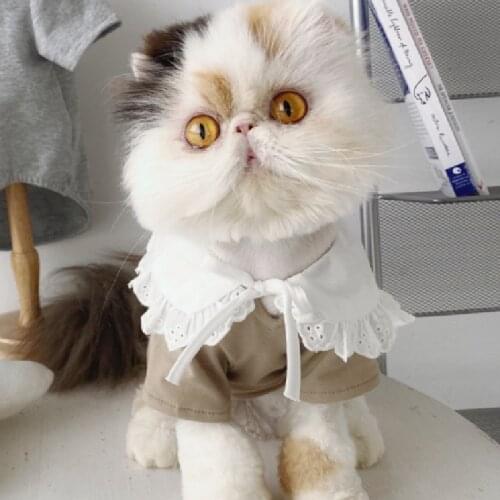 Cotton Dog Shirt Cat Puppy Dog Clothes Summer Pet Clothing Chihuahua Yorkshire Poodle Pomeranian Bichon Schnauzer Dog Costumes