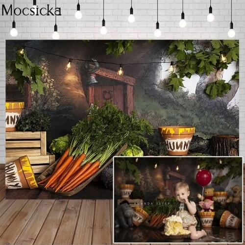 Mocsicka Vegetables Photography Background Carrot Cabbage Honey Potted Plants Backdrop Child birthday Portrait Photos Decoration