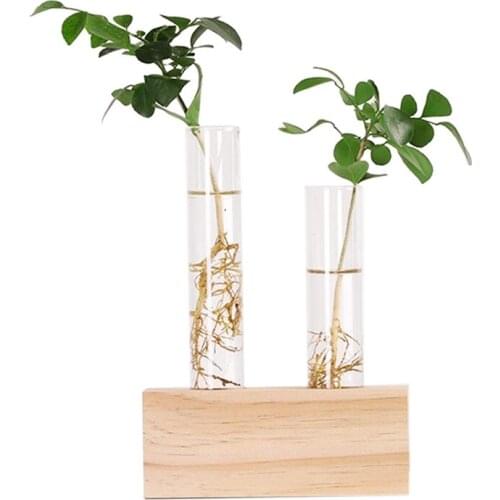Crystal Glass Test Tube Vase Flowers Plants Hydroponic Planter+ Wooden Stand Decorated With A Flower Home Decor