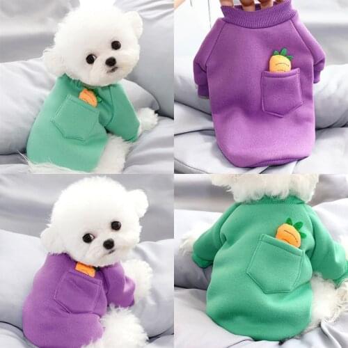 Cartoon Carrot Dog Clothes Autumn and Winter Clothes Pet Bichon Teddy Sweater Solid Color Soft Puppy Warm Sweater