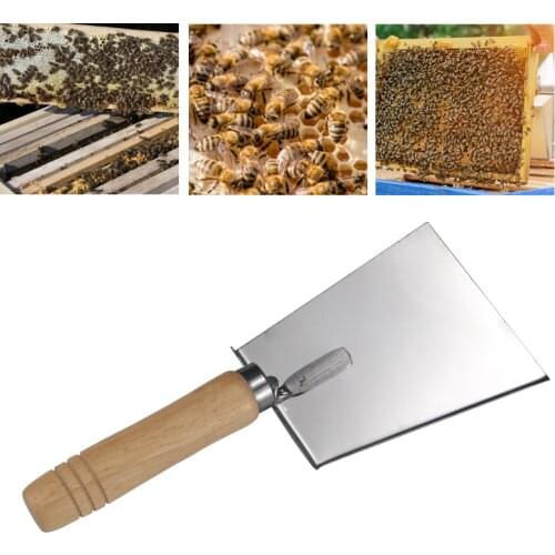 Beekeeping Beehive Shovel Bee Box Cleaning Stainless Steel Honey Scraper Cleaner Tools For Beekeeper Supplies