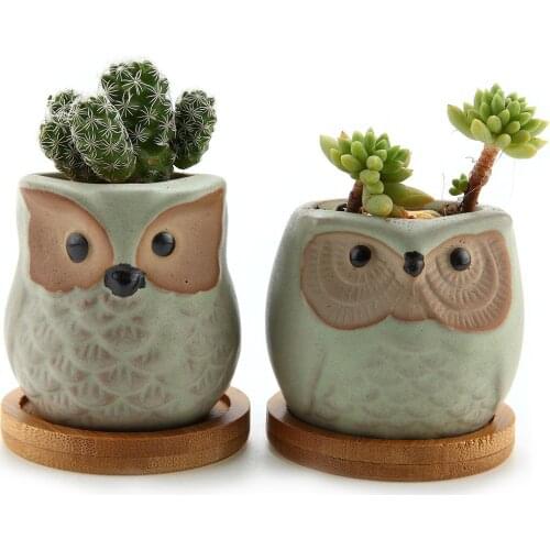 Ceramic Succulent Planter Pots With Bamboo Saucers Mini Size Light Green Set Cute Owl Bonsai Pots