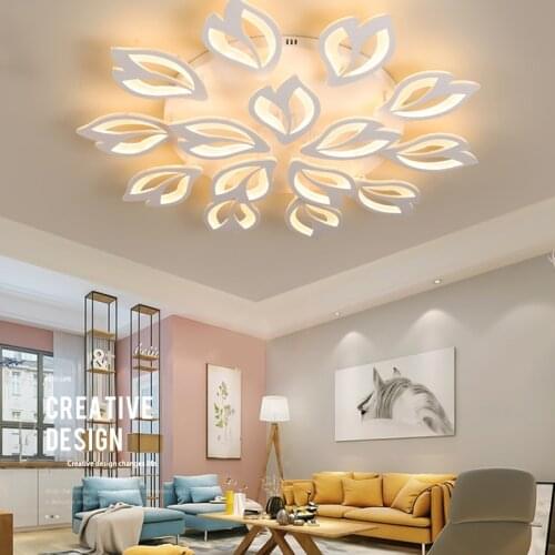 Modern acrylic personality LED remote control function dimming ceiling lamp for living room bedroom hotel shop