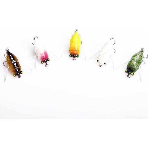 Afishlure Cicadas