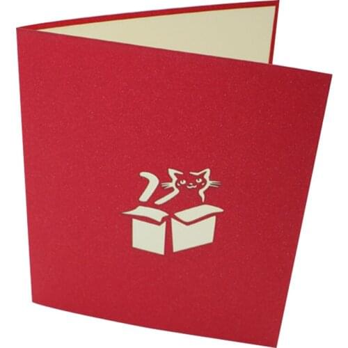 Handmade 3D Pop Up Cat Hidden In Box Greeting Card With Envelope Invitation Birthday Christmas Wedding Party Decoration