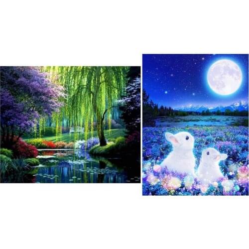 Full Drill Diamond Set Pattern Resin Rhinestones Inserted Cross Stitch 30X40cm & Rabbit Diamond Painting Accessories