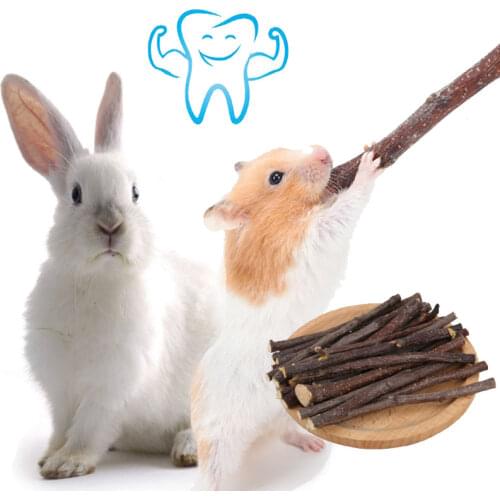 10/20PCS Hamster Natural Apple Tree Branch Pet Grinding Rod Bite Toy Teeth Cleaner Wood Chew Stick For Rabbit Guinea Pig Lapin